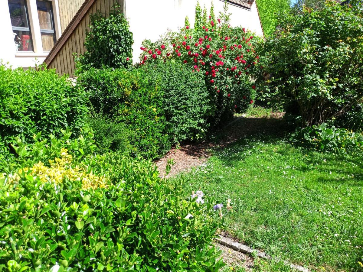 L'Essentiel De Chartres Apartman Kültér fotó